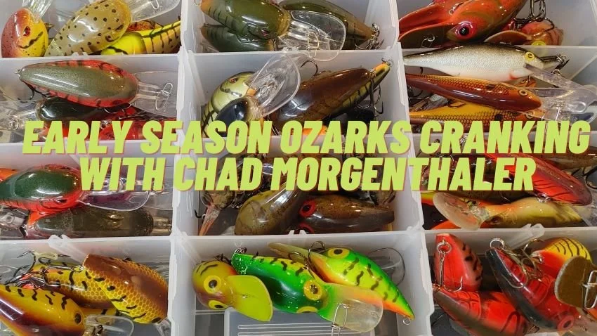 arkansas chads fishing lure SPRO KGB Chad Shad Swimbaits caliber predators! CJ's Reel Southern Podcast #1