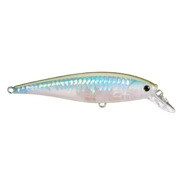 MS Ghost Herring Lucky Craft shallow Pointer