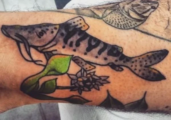 Loco Amor Tattoo Surubim Catfish