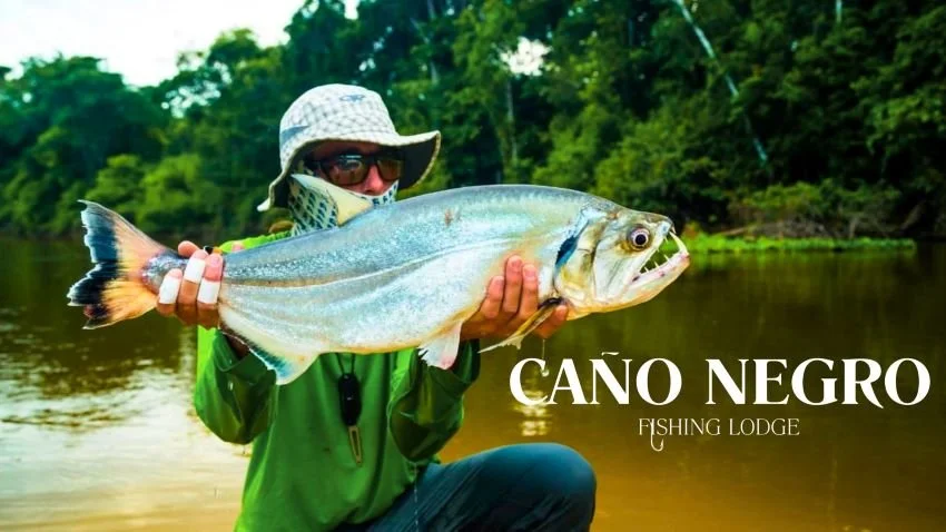 Payara Caught at Cano Negro Fishing Lodge Bolivia