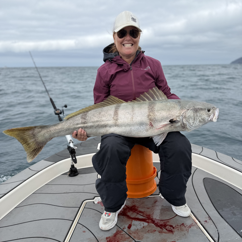 Trophy White Seabass the ghost