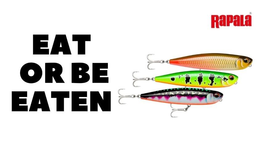 Rapala's Exotic International Topwater Paint Schemes — Half Past First Cast
