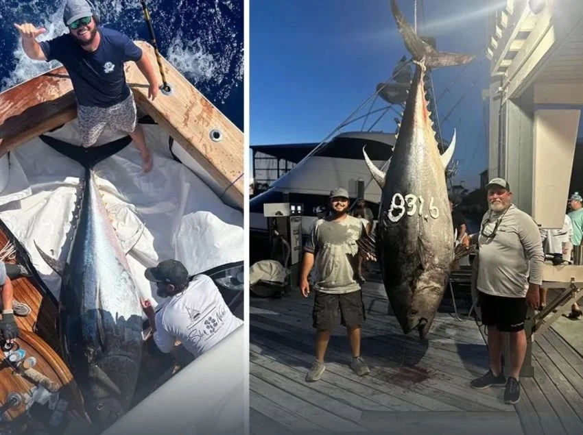 David Gaston Alabama Record Bluefin Tuna