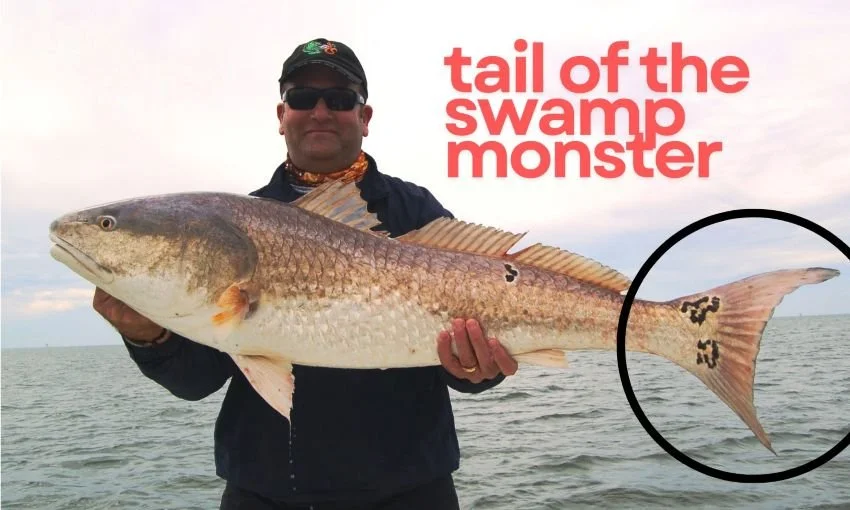 Angler holding trophy redfish in Venice, Louisiana
