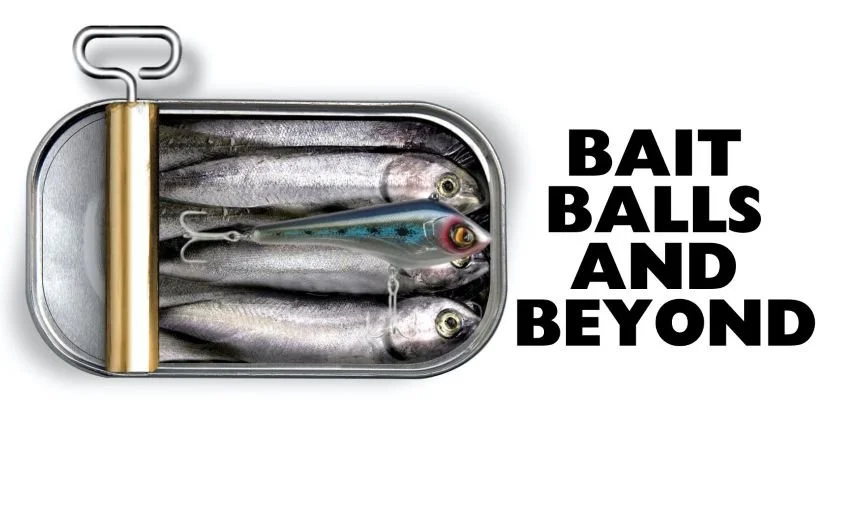 Open can of sardines with a fishing lure