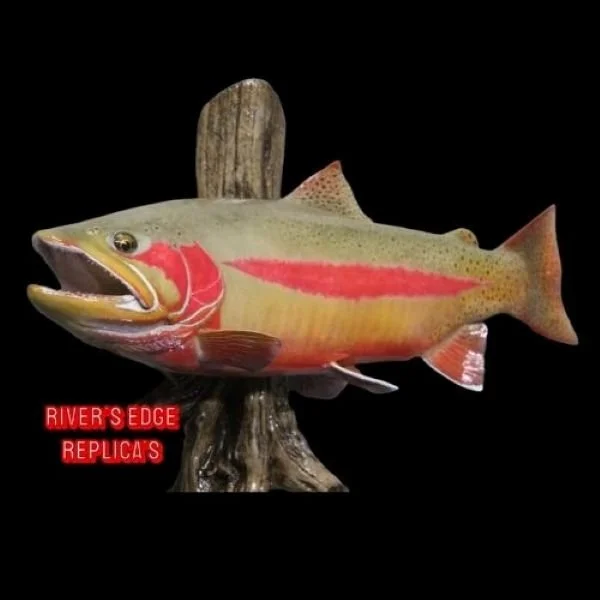 Golden rainbow trout taxidermy River's Edge