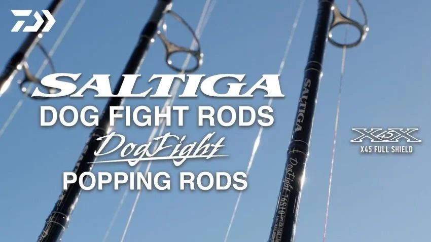 Daiwa Saltiga Dog Fight popping rods