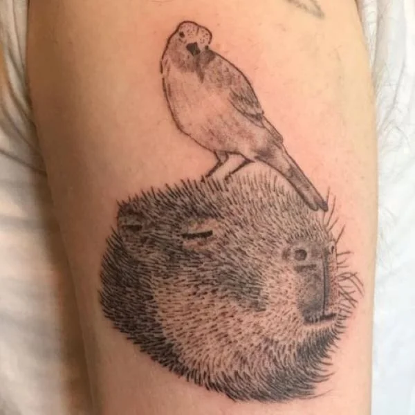 black and white tattoo capybara and parakeet