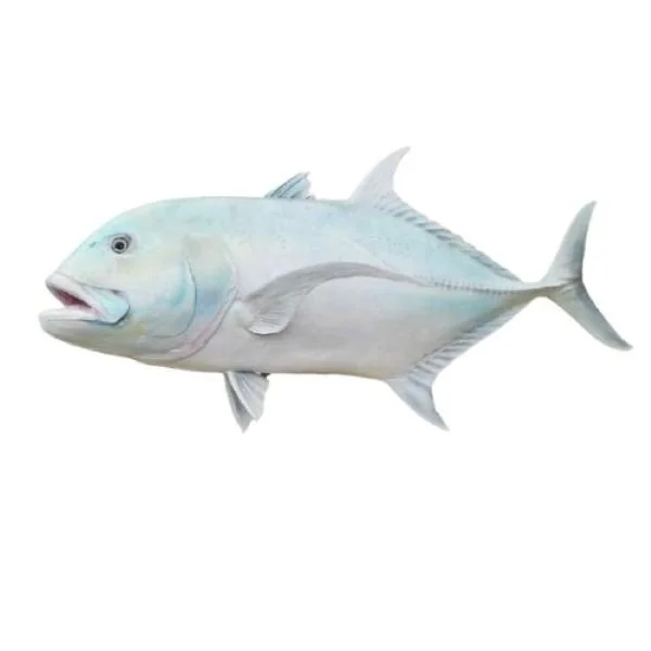 lifelike giant trevally replica
