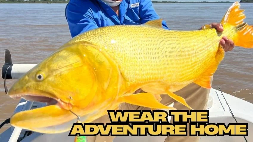 Trophy Golden Dorado Corrientes Argentina