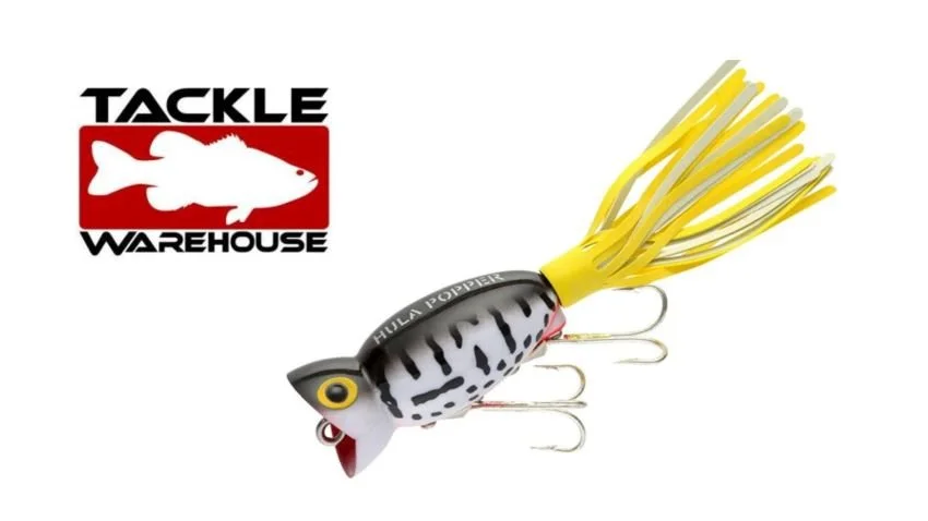 Coachdog Arbogast Hula Popper