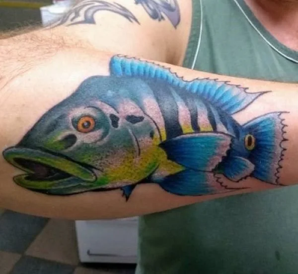 forearm tattoo pavon azul