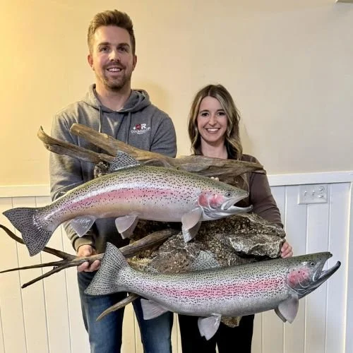 Artistic Anglers dual steelhead taxidermy mount