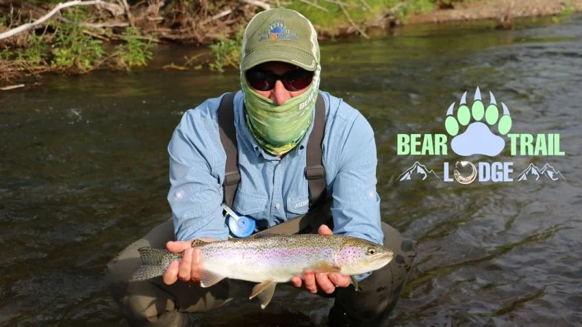 Rainbow Trout Idavain Creek  Bristol Bay Alaska