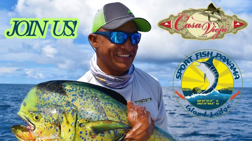 Man holding a mahi mahi fish in Gulf of Chiriqui Panama