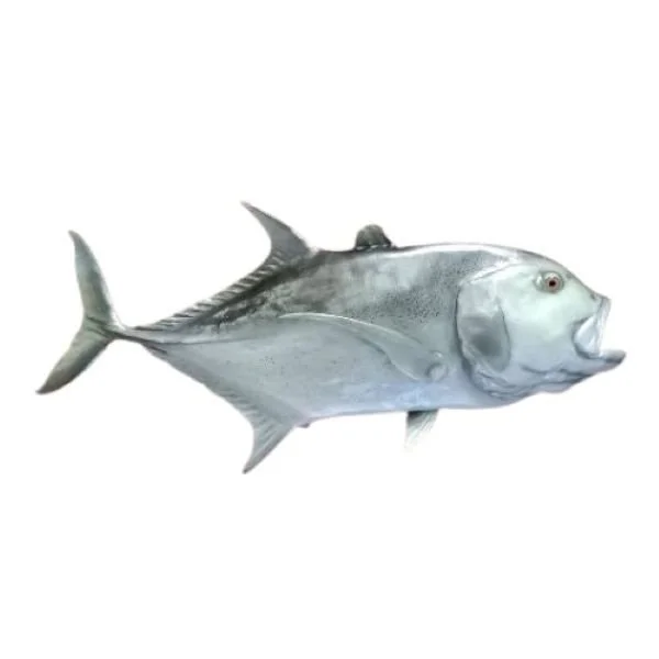African trevally mount replica taxidermy