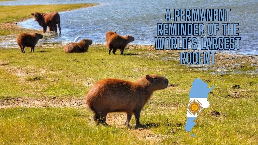 Capybaras and cattle on the Parana River Corrientes Argentina