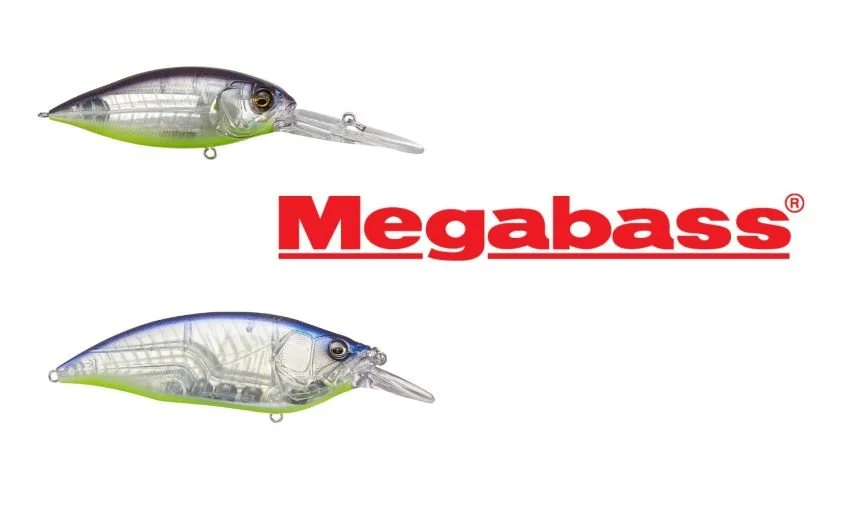 Elegy Bone Megabass Crankbaits