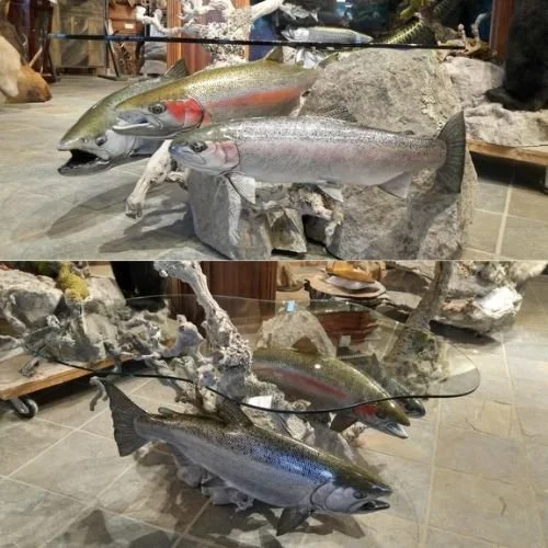 Advanced Taxidermy triple steelhead coffee table