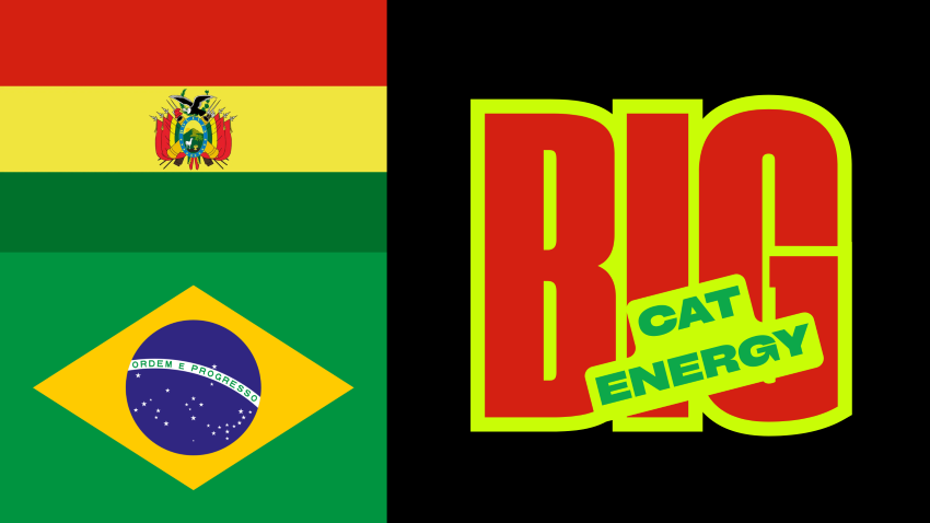 flags of Bolivia and Brazil