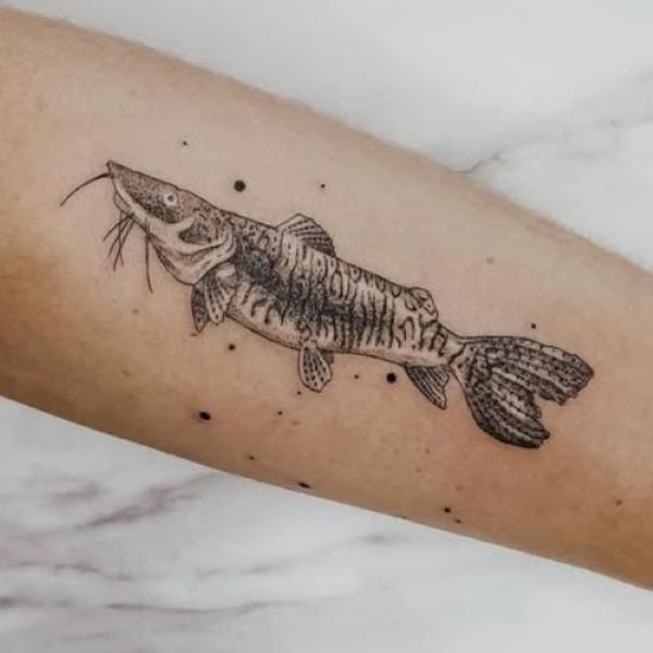 Mar Negro Farid Hadechini Surubim Catfish