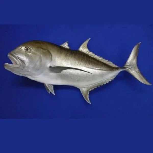 New Wave Taxidermy GT taxidermy