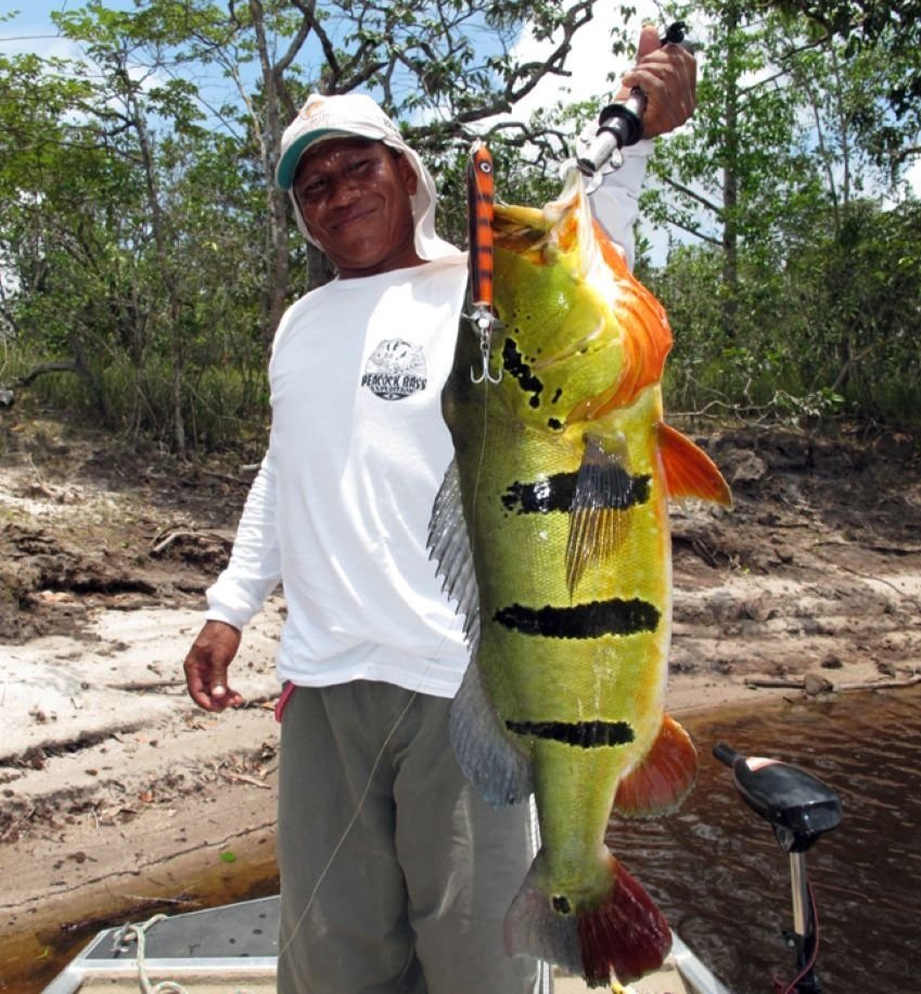 What's Going On in South American Fishing? — Half Past First Cast