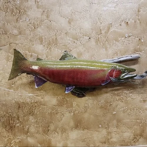 steelhead replica from Bone Collector Taxidermy