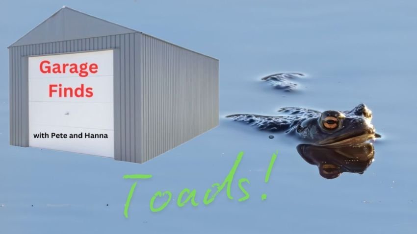 Discontinued toad lures for bass