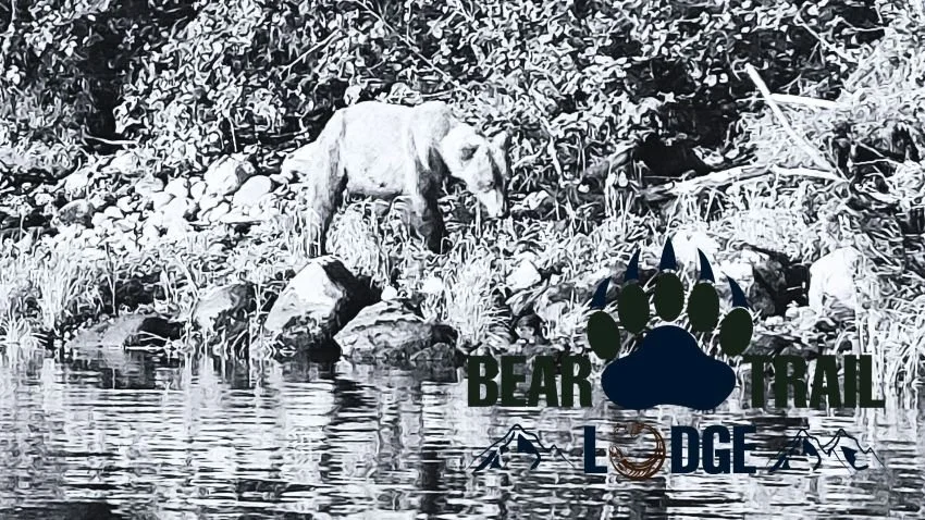 black and white photo of a bear on the bank of the Naknek River