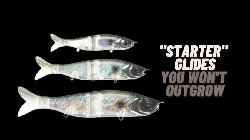 Budget Glide Baits That are Legit — Half Past First Cast