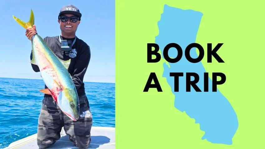 Oliver Ngy with a big California yellowtail