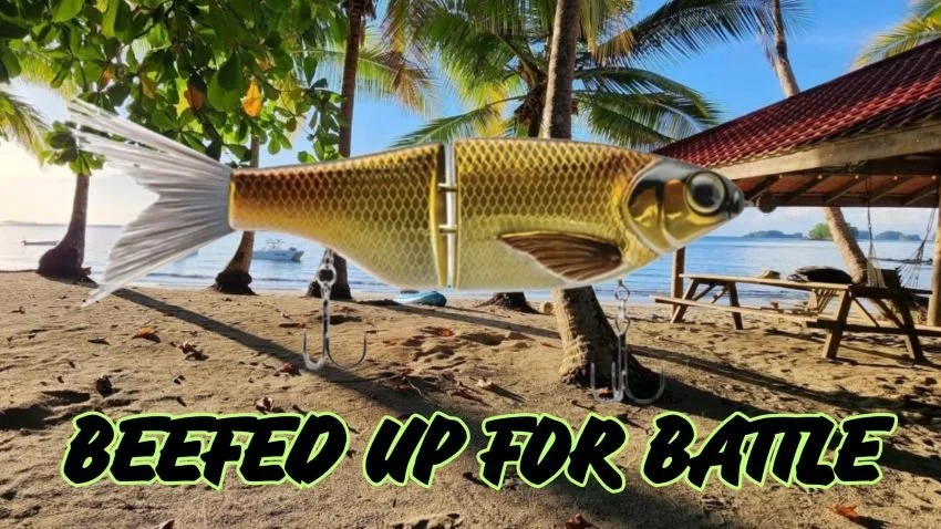 KGB Chad Shad for saltwater