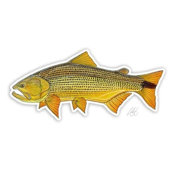 Casey Underwood Golden Dorado Decal