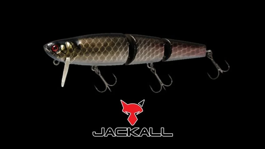 Jackall Mikey wake bait Black Pirarucu