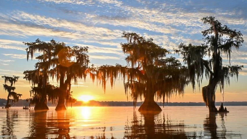 Lake Verret Sunrise Louisiana