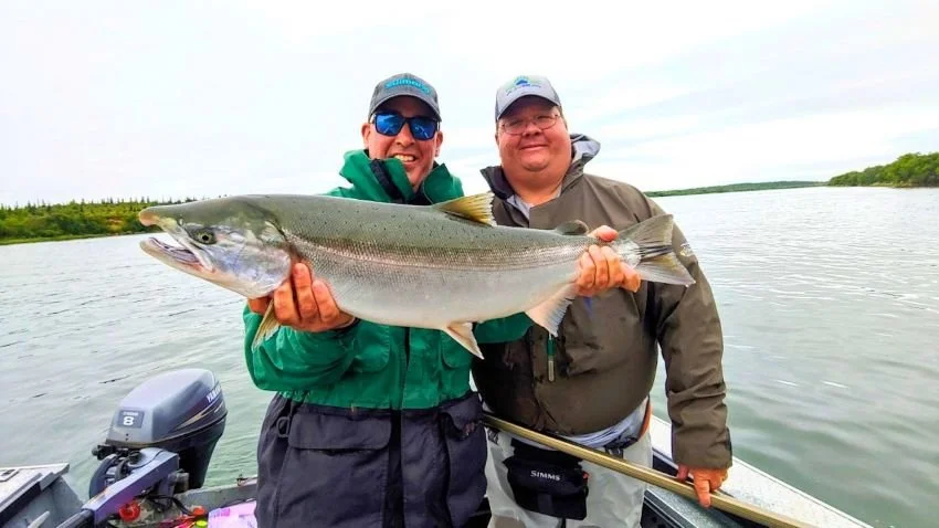 Naknek River silver salmon Alaska August