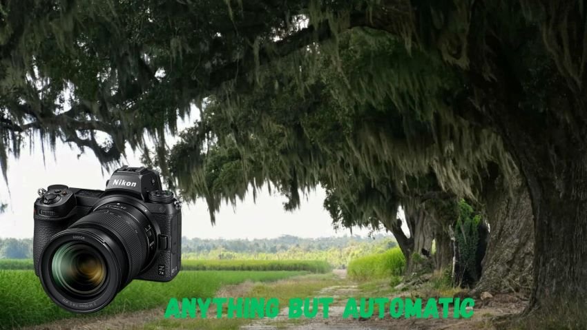 Louisiana Swamp Photgraphy Workshops