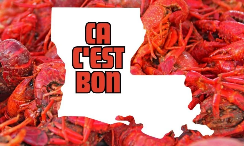 outline of Louisiana over boiled crawfish