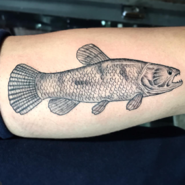 Anatomically correct wolffish trairao tattoo arm