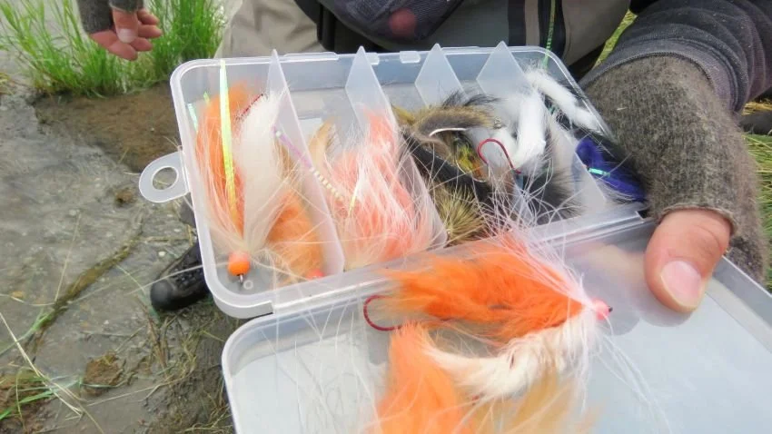Fly box of fishing guide in Katmai National Park