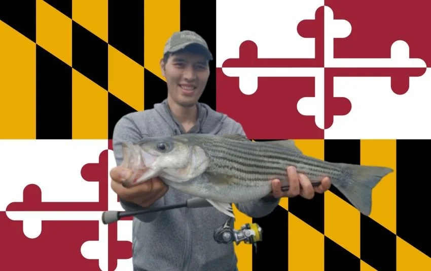 Scott Einsmann Outdoor Life Striped Bass over MD Flag