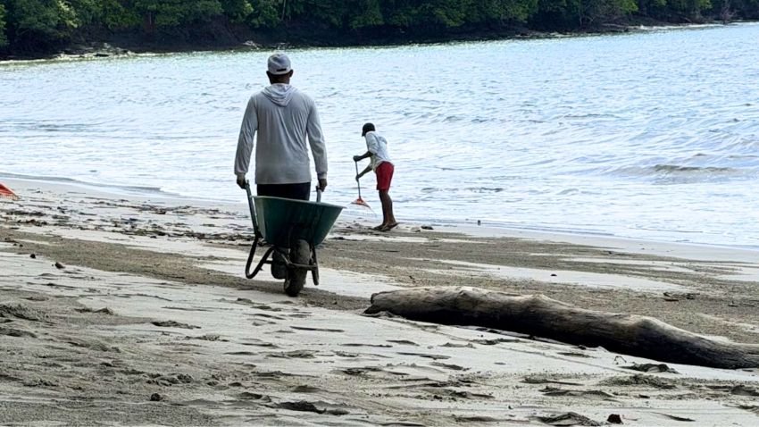 Staff cleaning the beach at Isla Parida