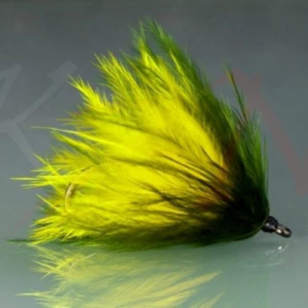 KN Algae Fly Pacu