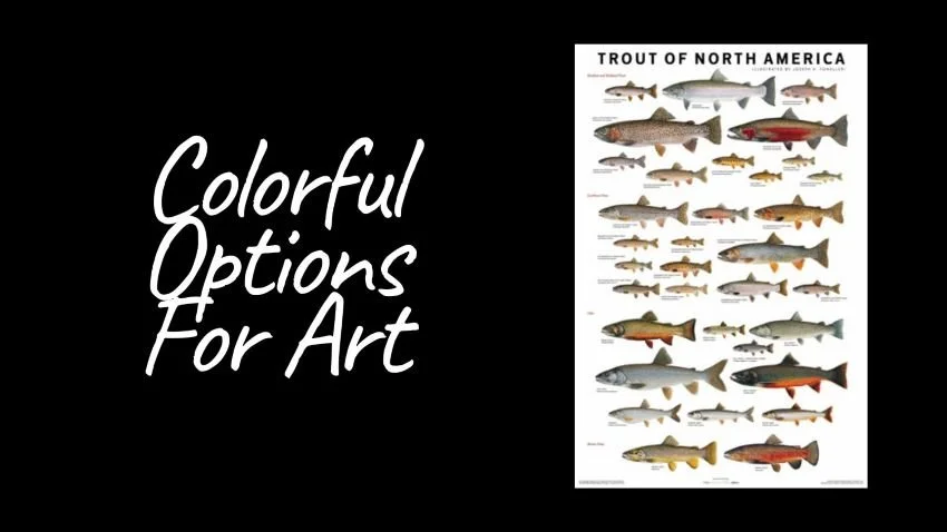 Small chart of trout of North America
