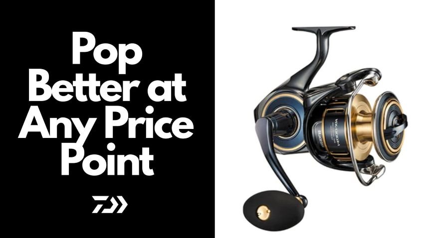 Daiwa Saltiga top of the line saltwater spinning reel