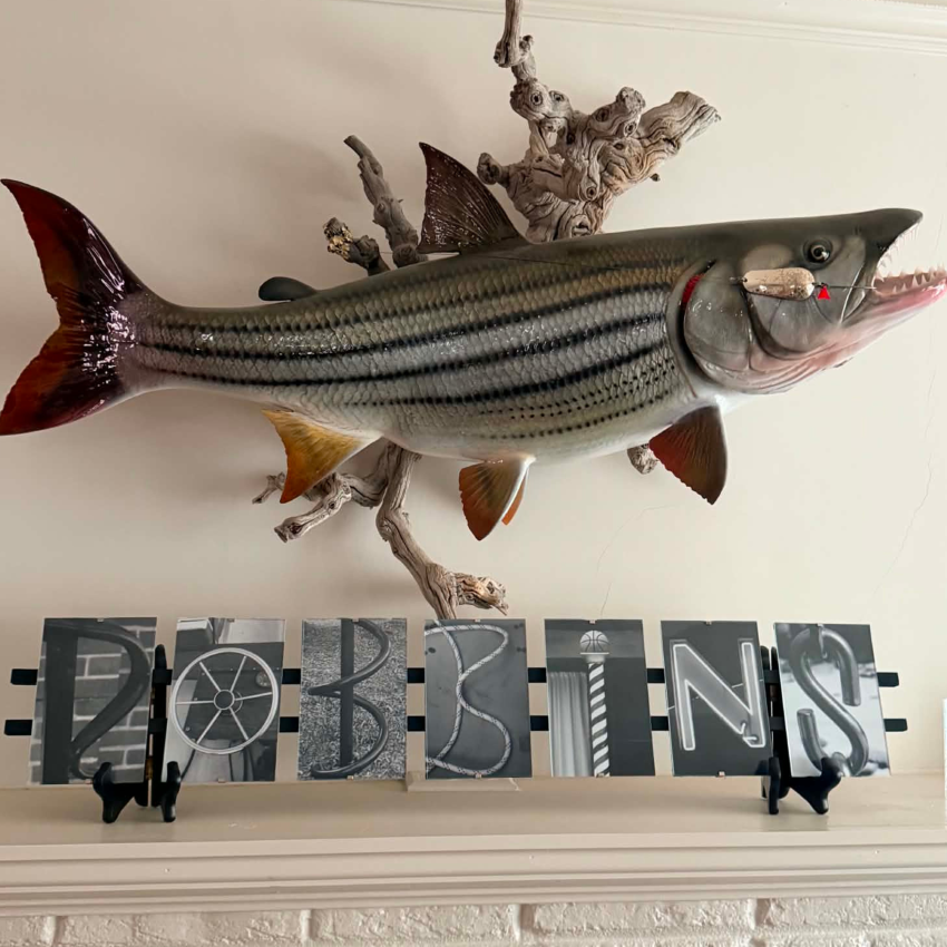 Zambia Tigerfish Replica Advanced Taxidermy