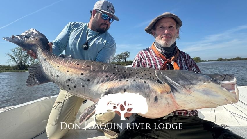 Trophy surubim catfish Don Joaquin River Lodge Argentina