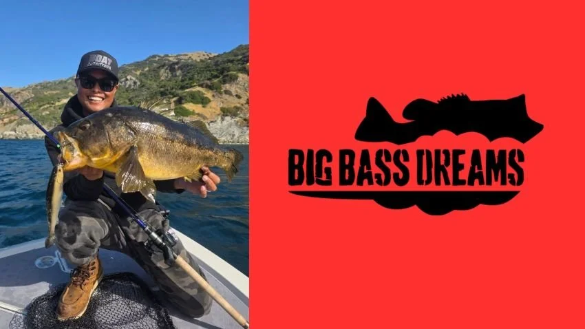 Oliver Ngy Big Bass Dreams Trophy Calico bass swimbait