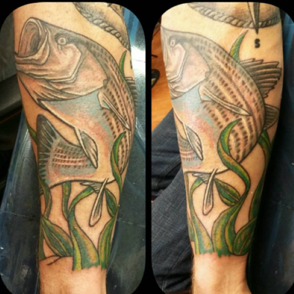 colorful tattoo of striped bass over sea grass